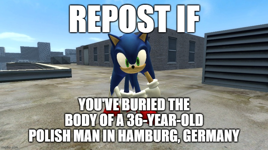 i'd repost it | YOU'VE BURIED THE BODY OF A 36-YEAR-OLD POLISH MAN IN HAMBURG, GERMANY | image tagged in repost if | made w/ Imgflip meme maker