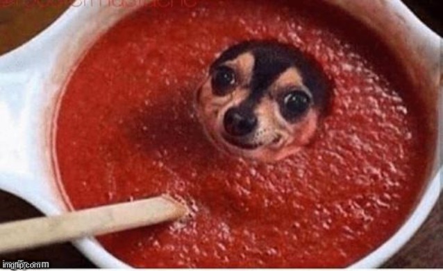 Memes, Hot Sauce, Dogs, Cooking | image tagged in memes hot sauce dogs cooking | made w/ Imgflip meme maker