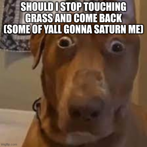 istg some of yall gonna saturn me cuz ive been gone for too long and i changed my name | SHOULD I STOP TOUCHING GRASS AND COME BACK (SOME OF YALL GONNA SATURN ME) | image tagged in you forgor to wash your hands | made w/ Imgflip meme maker