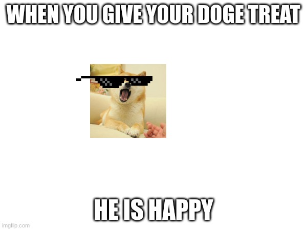 doge | WHEN YOU GIVE YOUR DOGE TREAT; HE IS HAPPY | image tagged in funny,doge | made w/ Imgflip meme maker