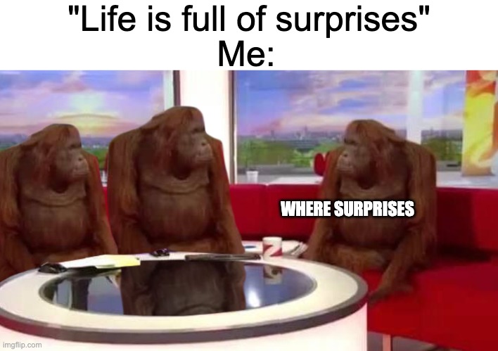 someday..... | "Life is full of surprises"; Me:; WHERE SURPRISES | image tagged in where monkey | made w/ Imgflip meme maker