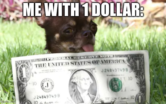 ME WITH 1 DOLLAR: | image tagged in dog | made w/ Imgflip meme maker