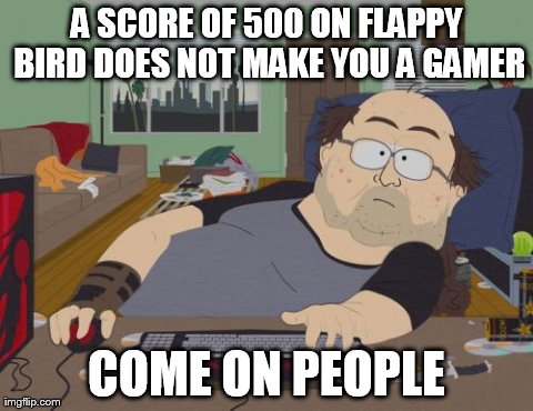 RPG Fan | A SCORE OF 500 ON FLAPPY BIRD DOES NOT MAKE YOU A GAMER COME ON PEOPLE | image tagged in memes,rpg fan | made w/ Imgflip meme maker