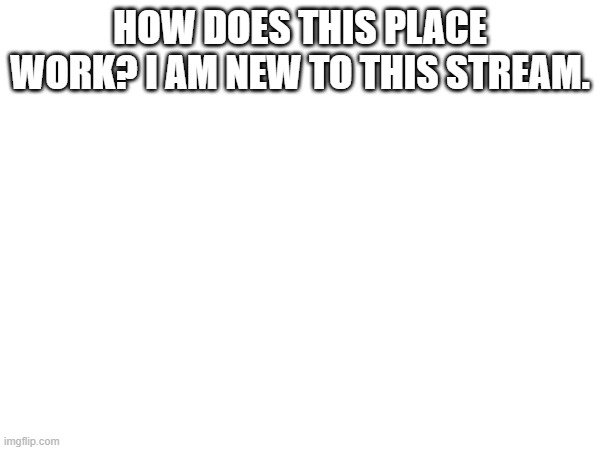 HOW DOES THIS PLACE WORK? I AM NEW TO THIS STREAM. | made w/ Imgflip meme maker