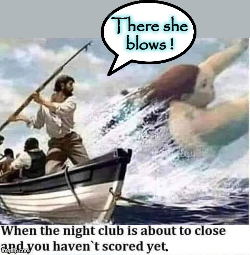 Moby Dick ! | There she
blows ! | image tagged in whale | made w/ Imgflip meme maker