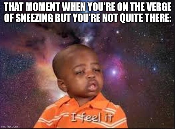 false alarm | THAT MOMENT WHEN YOU'RE ON THE VERGE OF SNEEZING BUT YOU'RE NOT QUITE THERE: | image tagged in sneeze | made w/ Imgflip meme maker