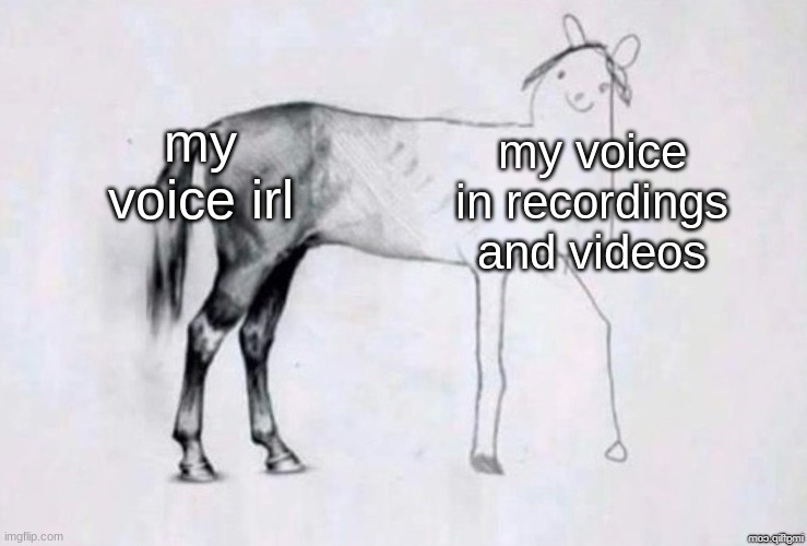 it makes my voice sound like a girl but tbh its WAYY lower pitched | my voice irl; my voice in recordings and videos | image tagged in horse drawing | made w/ Imgflip meme maker