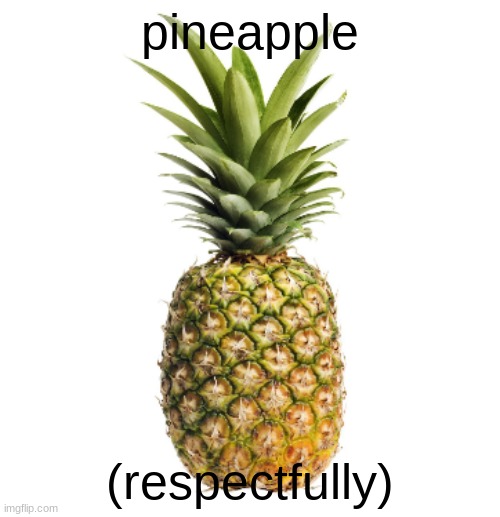 for those who respect pineapple | pineapple; (respectfully) | image tagged in pineapple,nonsense,weird,fruit,respect,press f to pay respects | made w/ Imgflip meme maker