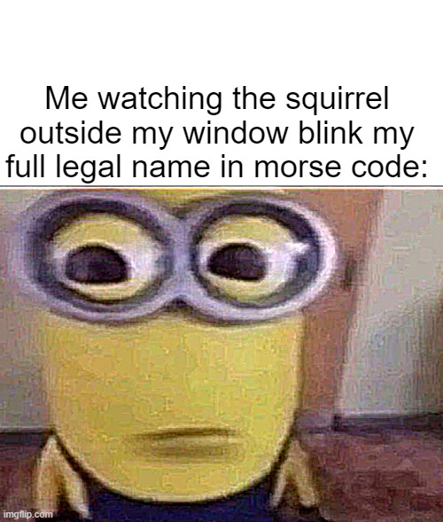Me watching the squirrel outside my window blink my full legal name in morse code: | image tagged in memes,blank transparent square,minion stare | made w/ Imgflip meme maker
