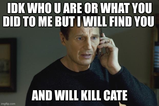 I don't know who are you | IDK WHO U ARE OR WHAT YOU DID TO ME BUT I WILL FIND YOU AND WILL KILL CATE | image tagged in i don't know who are you | made w/ Imgflip meme maker