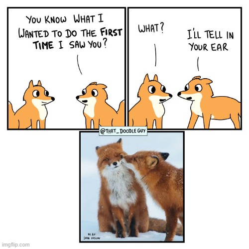 image tagged in foxes,ear,kiss | made w/ Imgflip meme maker