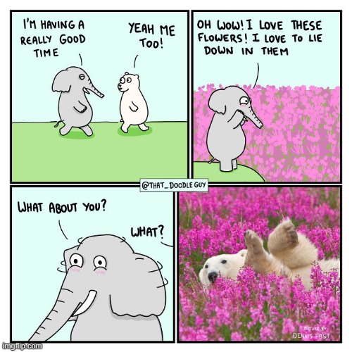 image tagged in elephant,polar bear,flowers | made w/ Imgflip meme maker