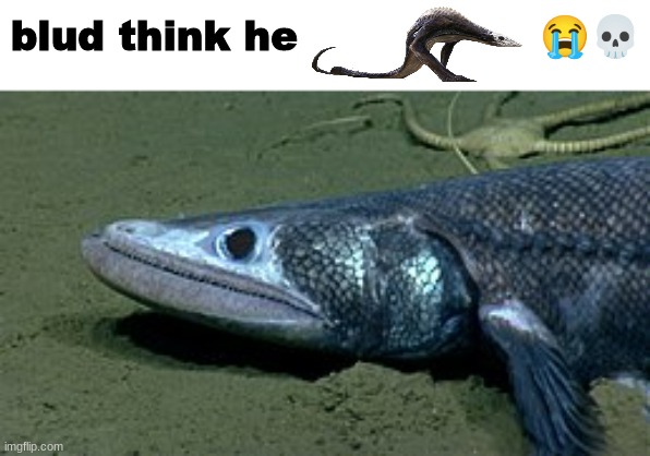 deep sea lizardfish btw | blud think he                  😭💀 | made w/ Imgflip meme maker
