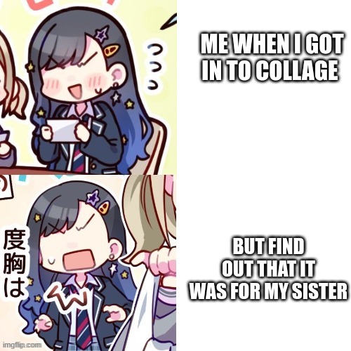 Ichika mood | ME WHEN I GOT IN TO COLLAGE; BUT FIND OUT THAT IT WAS FOR MY SISTER | image tagged in ichika mood | made w/ Imgflip meme maker