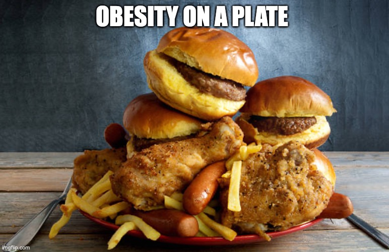 burgers | OBESITY ON A PLATE | image tagged in funny | made w/ Imgflip meme maker