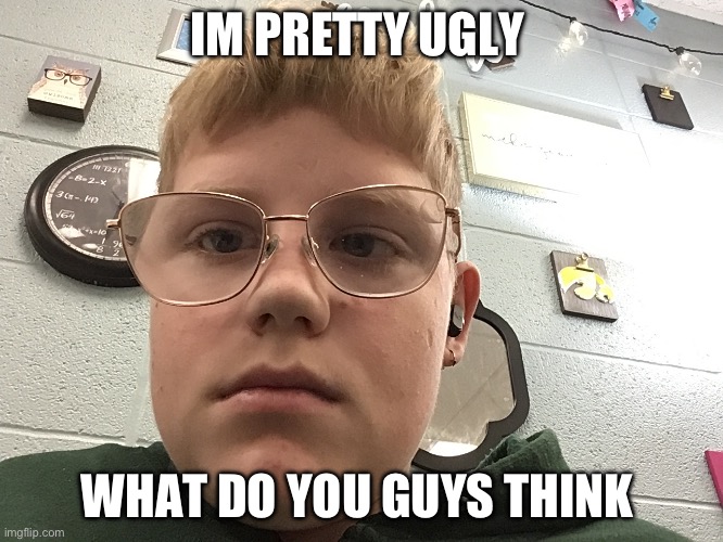 Im ugly | IM PRETTY UGLY; WHAT DO YOU GUYS THINK | image tagged in face reveal | made w/ Imgflip meme maker