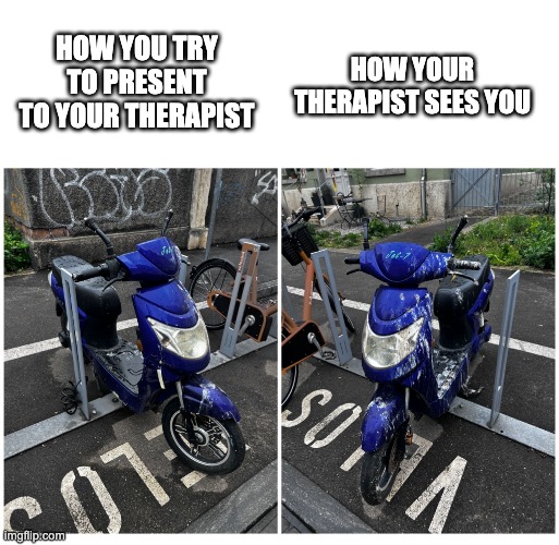 birdshit on motorcycle | HOW YOU TRY TO PRESENT TO YOUR THERAPIST; HOW YOUR THERAPIST SEES YOU | image tagged in birdshit on motorcycle | made w/ Imgflip meme maker