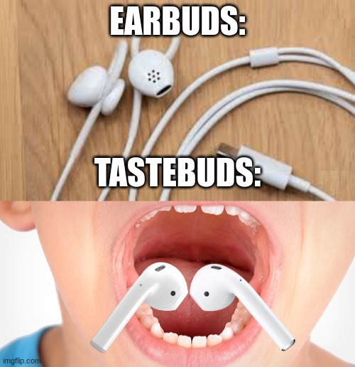 tastebuds | EARBUDS:; TASTEBUDS: | image tagged in funny,memes,funny memes | made w/ Imgflip meme maker