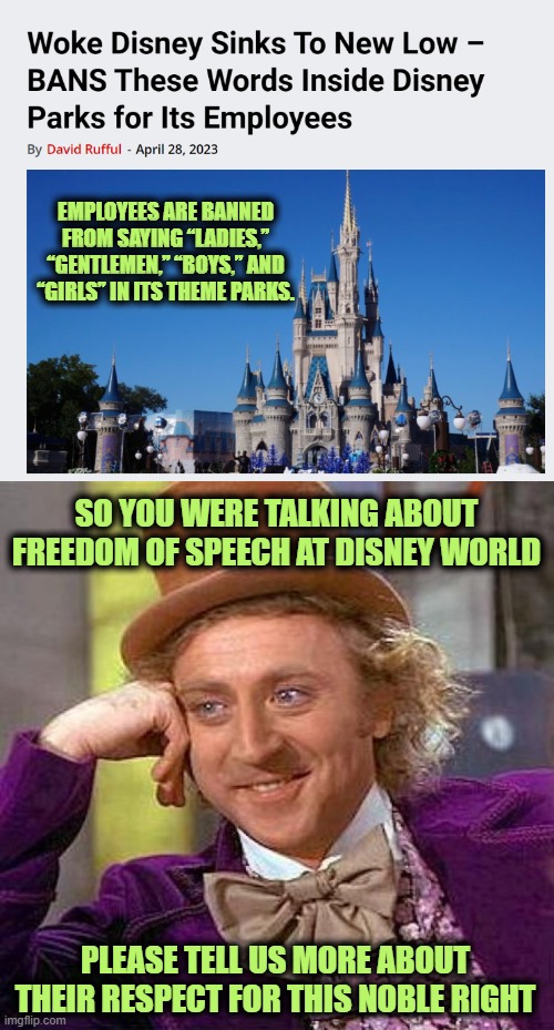 When Some Leftoid was going on about how Ron DeSantis was violating Disney's Free Speech . . . | EMPLOYEES ARE BANNED FROM SAYING “LADIES,” “GENTLEMEN,” “BOYS,” AND “GIRLS” IN ITS THEME PARKS. SO YOU WERE TALKING ABOUT FREEDOM OF SPEECH  | image tagged in memes,creepy condescending wonka | made w/ Imgflip meme maker