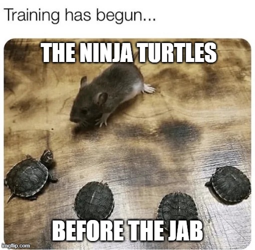 Ninja Turtles | THE NINJA TURTLES; BEFORE THE JAB | image tagged in ninja turtles | made w/ Imgflip meme maker