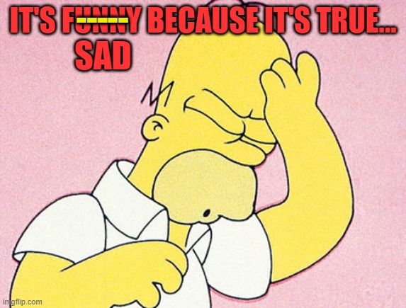 Homer Simpson D'oh | IT'S FUNNY BECAUSE IT'S TRUE... ----- SAD | image tagged in homer simpson d'oh | made w/ Imgflip meme maker