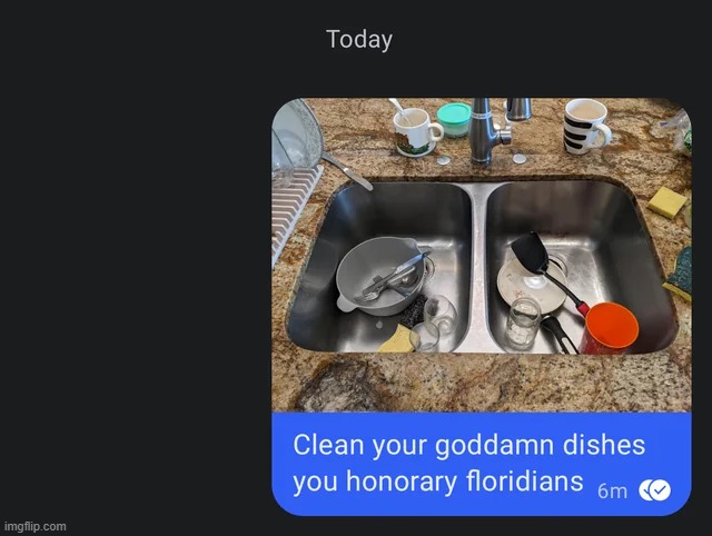 "Honorary floridians" might be my new favorite shade | image tagged in rare,insults,funny | made w/ Imgflip meme maker