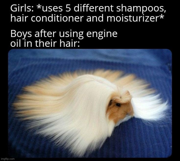 image tagged in memes,funny | made w/ Imgflip meme maker