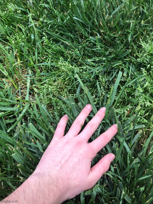 Touched grass - Imgflip