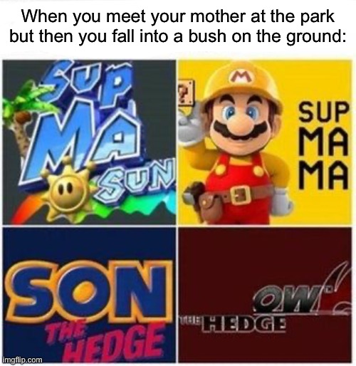 When you meet your mother at the park but then you fall into a bush on the ground: | image tagged in memes,funny,gaming | made w/ Imgflip meme maker