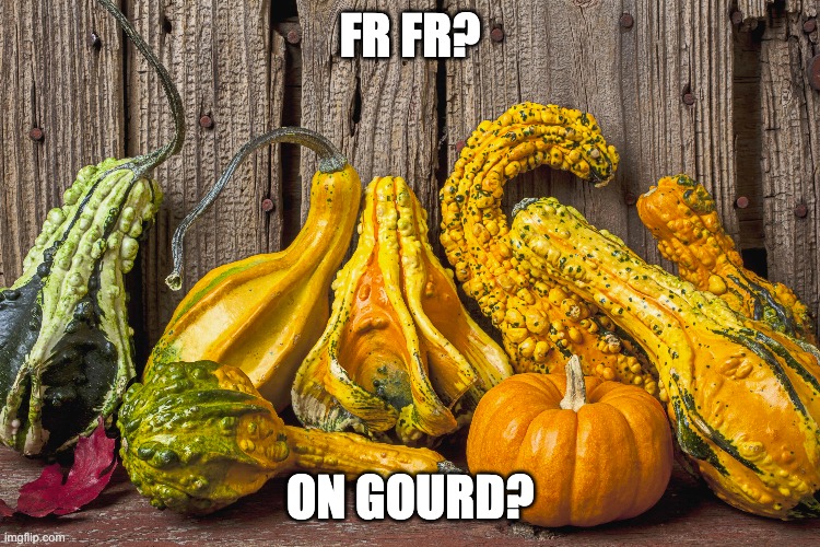FR FR? ON GOURD? | made w/ Imgflip meme maker