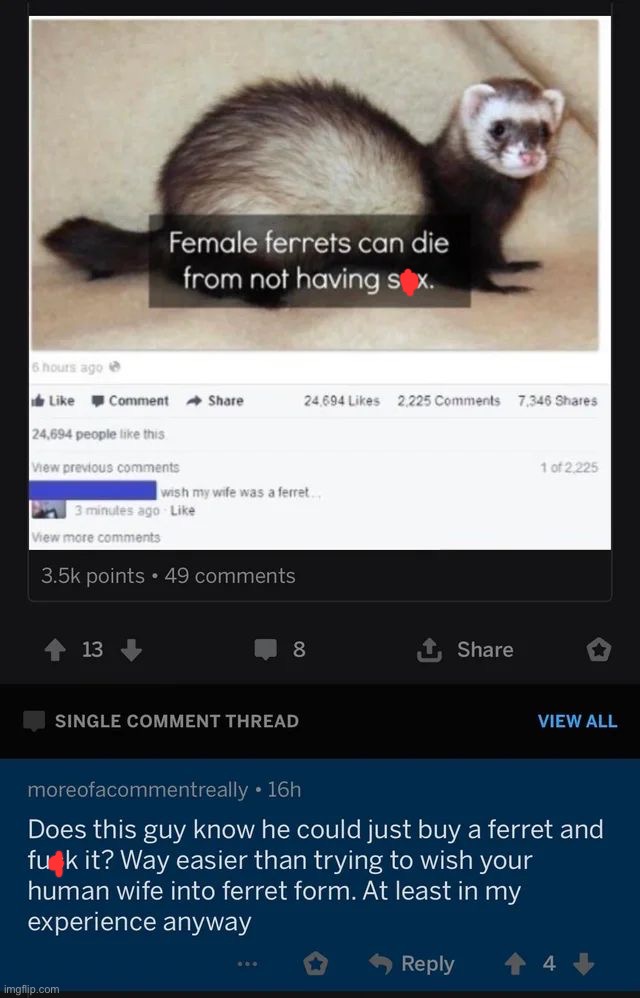 Zoophile confirmed? | image tagged in memes,funny,cursed comment | made w/ Imgflip meme maker