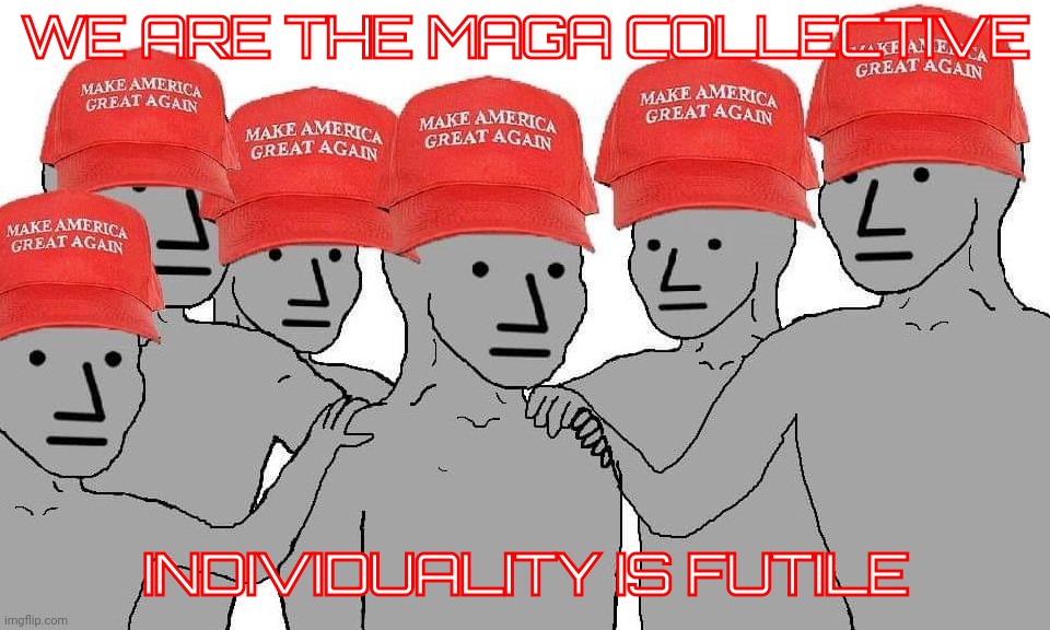 The throng remains the same | WE ARE THE MAGA COLLECTIVE; INDIVIDUALITY IS FUTILE | image tagged in maga npc,magatronics,magatrons,magats,maga,the throng remains the same | made w/ Imgflip meme maker
