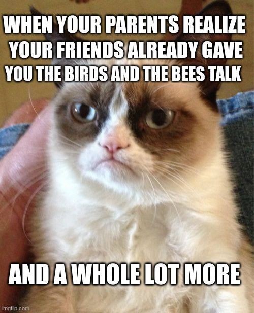 Grumpy Cat | YOUR FRIENDS ALREADY GAVE; YOU THE BIRDS AND THE BEES TALK; WHEN YOUR PARENTS REALIZE; AND A WHOLE LOT MORE | image tagged in memes,grumpy cat | made w/ Imgflip meme maker