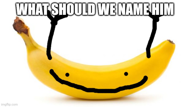 Banana | WHAT SHOULD WE NAME HIM | image tagged in banana | made w/ Imgflip meme maker