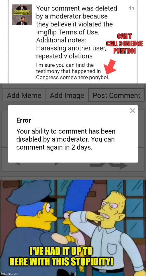 (No, I did not ban you from commenting) Oh, and he's been unbanned from conservatives so good luck. | CAN'T CALL SOMEONE PONYBOI; I'VE HAD IT UP TO HERE WITH THIS STUPIDITY! | image tagged in i've had it up to here | made w/ Imgflip meme maker
