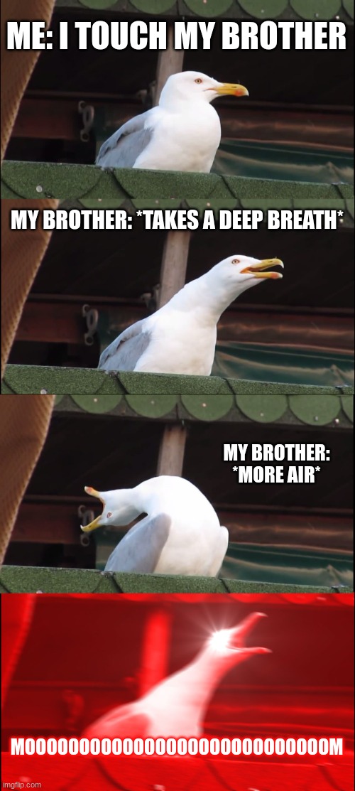 MOOOOOOOOOOOOOOOOOOOM | ME: I TOUCH MY BROTHER; MY BROTHER: *TAKES A DEEP BREATH*; MY BROTHER: *MORE AIR*; MOOOOOOOOOOOOOOOOOOOOOOOOOOOOM | image tagged in memes,inhaling seagull | made w/ Imgflip meme maker