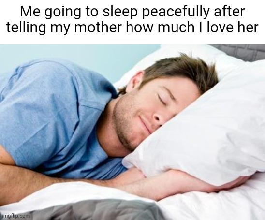 sleeping | Me going to sleep peacefully after telling my mother how much I love her | image tagged in sleeping | made w/ Imgflip meme maker