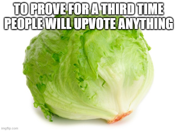 Now we wait >:) | TO PROVE FOR A THIRD TIME PEOPLE WILL UPVOTE ANYTHING | image tagged in lettuce | made w/ Imgflip meme maker