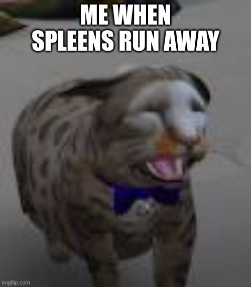 Here is template i invented | ME WHEN SPLEENS RUN AWAY | image tagged in tonsils is unhappy | made w/ Imgflip meme maker