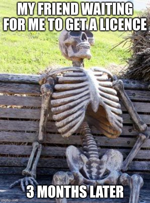 Waiting Skeleton | MY FRIEND WAITING FOR ME TO GET A LICENCE; 3 MONTHS LATER | image tagged in memes,waiting skeleton | made w/ Imgflip meme maker