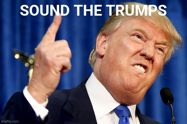 Donald Trump | SOUND THE TRUMPS | image tagged in donald trump | made w/ Imgflip meme maker