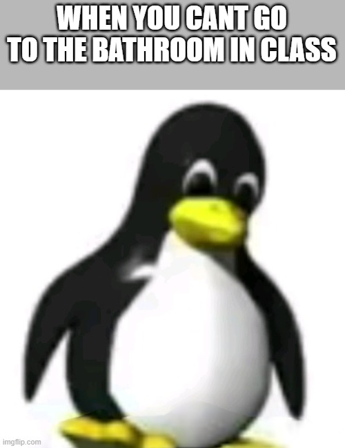 sad penguin | WHEN YOU CANT GO TO THE BATHROOM IN CLASS | image tagged in sad penguin | made w/ Imgflip meme maker