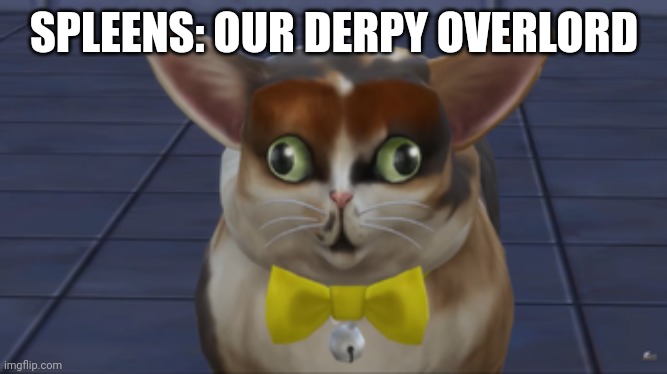 Spleens the cat | SPLEENS: OUR DERPY OVERLORD | image tagged in spleens the cat | made w/ Imgflip meme maker