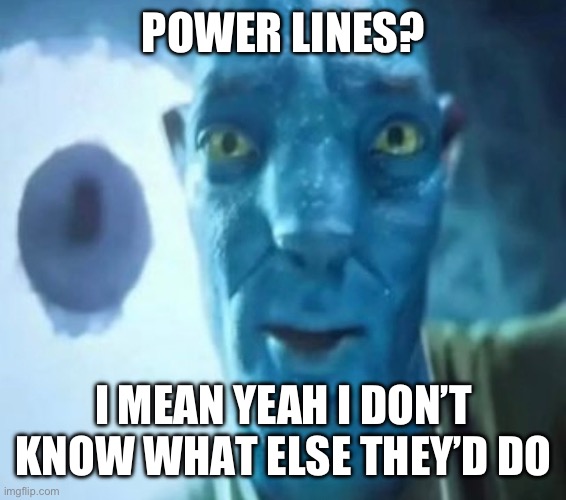 Avatar guy | POWER LINES? I MEAN YEAH I DON’T KNOW WHAT ELSE THEY’D DO | image tagged in avatar guy | made w/ Imgflip meme maker