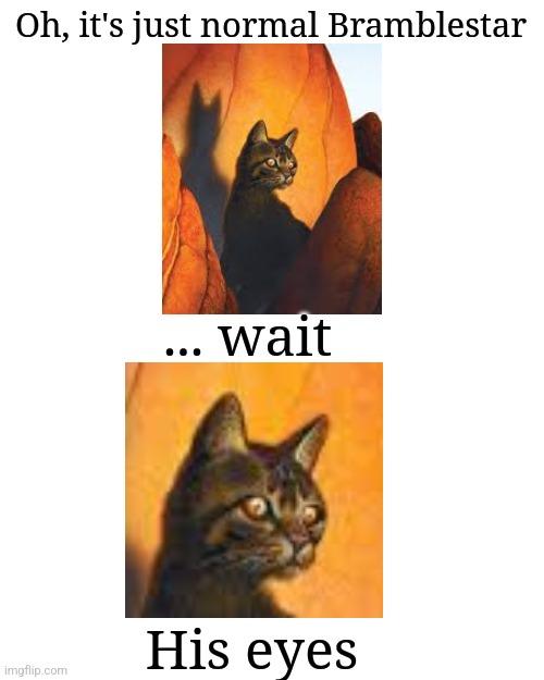 Bramblestar's eyes | Oh, it's just normal Bramblestar; ... wait; His eyes | image tagged in warrior cats | made w/ Imgflip meme maker