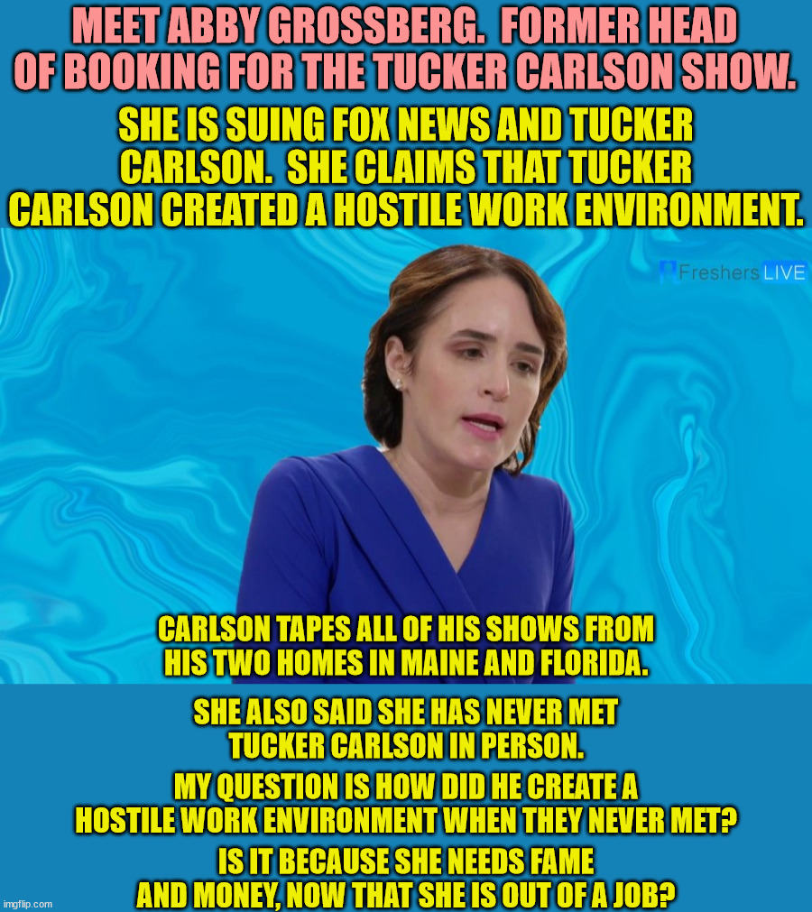 I don't know.  Maybe Carlson yelled at her once on the phone.  Who knows. | MEET ABBY GROSSBERG.  FORMER HEAD OF BOOKING FOR THE TUCKER CARLSON SHOW. SHE IS SUING FOX NEWS AND TUCKER CARLSON.  SHE CLAIMS THAT TUCKER CARLSON CREATED A HOSTILE WORK ENVIRONMENT. CARLSON TAPES ALL OF HIS SHOWS FROM
HIS TWO HOMES IN MAINE AND FLORIDA. SHE ALSO SAID SHE HAS NEVER MET
TUCKER CARLSON IN PERSON. MY QUESTION IS HOW DID HE CREATE A HOSTILE WORK ENVIRONMENT WHEN THEY NEVER MET? IS IT BECAUSE SHE NEEDS FAME AND MONEY, NOW THAT SHE IS OUT OF A JOB? | image tagged in abby grossberg,law suit,golddigger | made w/ Imgflip meme maker