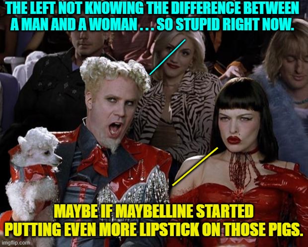 Being a liberal is to be perpetually . . . confused. | THE LEFT NOT KNOWING THE DIFFERENCE BETWEEN A MAN AND A WOMAN . . . SO STUPID RIGHT NOW. _____; ____; MAYBE IF MAYBELLINE STARTED PUTTING EVEN MORE LIPSTICK ON THOSE PIGS. | image tagged in mugatu so hot right now | made w/ Imgflip meme maker