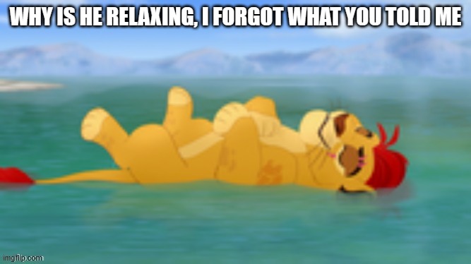 Useless waste | WHY IS HE RELAXING, I FORGOT WHAT YOU TOLD ME | image tagged in useless waste | made w/ Imgflip meme maker