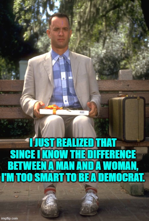 Just how much lower can leftists lower the intelligence bar for Democrats? | I JUST REALIZED THAT SINCE I KNOW THE DIFFERENCE BETWEEN A MAN AND A WOMAN, I'M TOO SMART TO BE A DEMOCRAT. | image tagged in forrest gump | made w/ Imgflip meme maker
