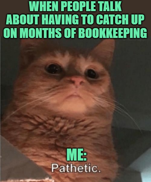 Pathetic Bookkeeping | WHEN PEOPLE TALK ABOUT HAVING TO CATCH UP ON MONTHS OF BOOKKEEPING; ME: | image tagged in pathetic cat,humor,funny,memes,finance,money | made w/ Imgflip meme maker